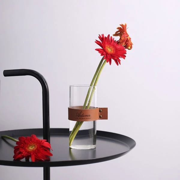 Simple Transparent Glass Vase